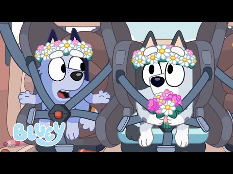 Chaotic Muffin and Socks Highlights! 💜 🤍 | Bluey Fun with the Cousins | Bluey