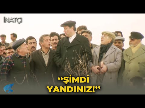 İnatçı Türk Filmi | Şirketler Birleşiyor