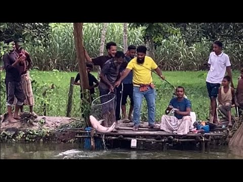 একই সাথে দেখুন দুটো বিশাল মাছ ধরার দৃশ্য 🎣