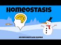 Understanding Homeostasis