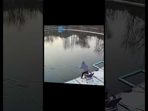 Nổ như bom #fishing #caucagiaitri #cauca