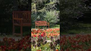 Vienna's Botanical Paradise is Completely Free #shorts #vienna #garden