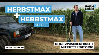 Futternutzung im Frühjahr: HerbstMax & HerbstMax Select nach späträumenden Kulturen!
