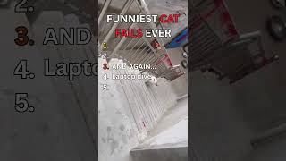 Funniest Cat Fails of All Time