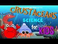 Crustacean Facts and Trivia