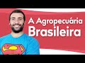 Brazilian Agriculture and Livestock Concepts