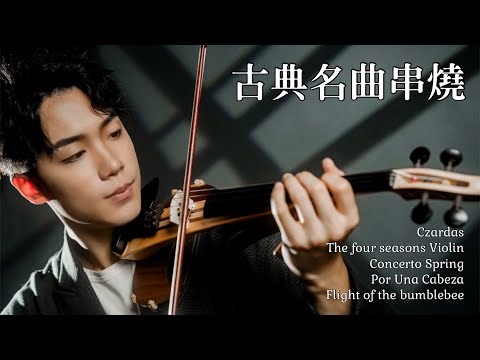 Classical Music Violin Medley | BoyViolin Cover