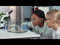 Understanding Vertebrates and Invertebrates