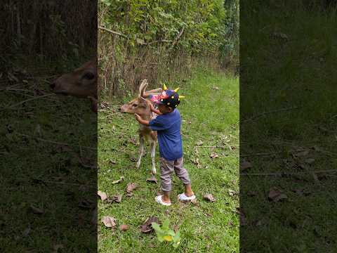 Aku berhasil menangkap rusa ๐ฑ