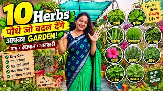 10  Hubs  Plants for Home Garden 🌿 | नाम, देखभाल और Gardening Tips