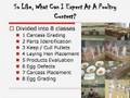 Poultry Science Contest Overview