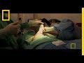 Dogtown: A Journey of Recovery