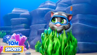 Underwater Car Chase 🥽🚗 Talking Tom Shorts | LIVE Cartoons for Kids