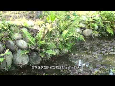 生態工法+生態池+生態池的寶貝 (0216更新) - YouTube