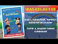 Kuis Bagian Tubuh Tumbuhan