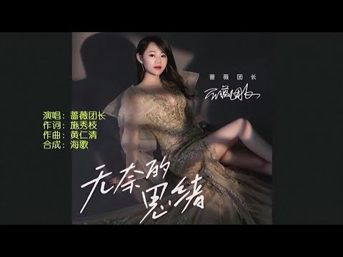无奈的思绪-蔷薇团长-演唱 KARAOKE