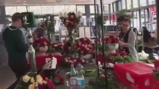 Rosenball 2016 - Die Vorbereitungen