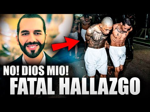 "Nayib Bukele desata toda su furia contra los pandilleros: lo pagarán caro.