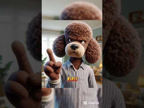 küçük köpeğin çamur oyunu.🐶#shortsvideo #shorts #short #shortvideo