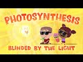 Exploring Misconceptions in Photosynthesis
