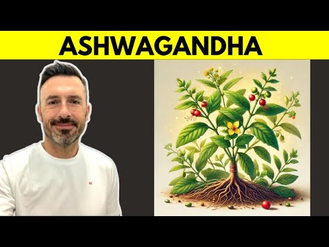 ASHWAGANDHA: 🍀 El Adaptógeno Más Poderoso del Mundo