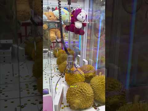 Claw Queen Day 28 DOMINATION! #clawmachine #arcade