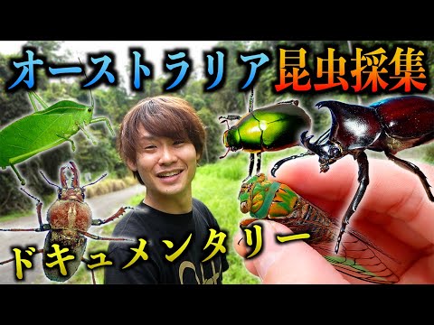 オーストラリアで見たことのない昆虫を探せ!〜ドキュメンタリー〜