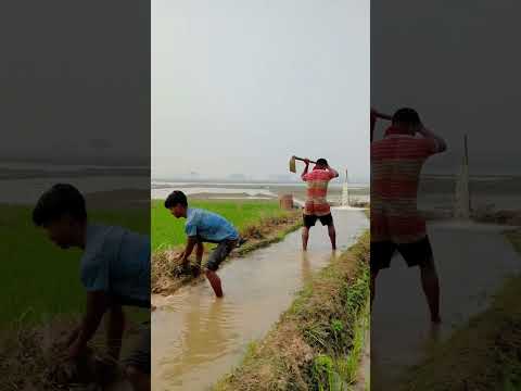 #funnyvideos #comedy #viralvideo đ