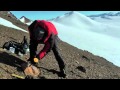 Antarctic Research and Discoveries