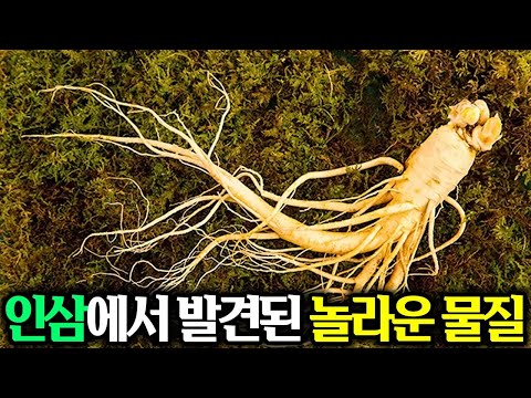 🔥한국인들의 사망원인 1위 암! 인삼에서 발견된 사포닌보다 강력한 면역향상 물질로 극복하자🔥