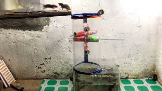Rat trap with smart plastic bottle | Classic mouse trap with plastic bottle | Best Water rat trap
