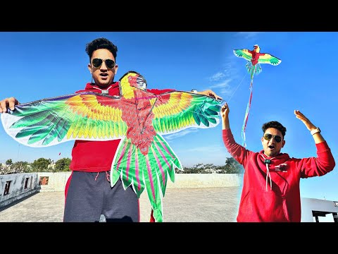 Very Big Size Kite 🪁 || तोते🦜वाला पतंग उड़ाया || Makar Sankraanti Vlog