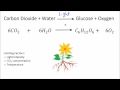 Photosynthesis Factors and Effects