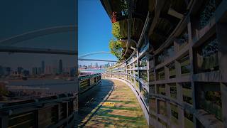 Winter Shanghai #shanghaiwalk ##loveshanghai