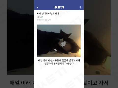 당황스러운 상황들 85탄 ㅋㅋㅋㅋㅋ