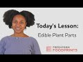 Plant Biology Concepts and Definitions