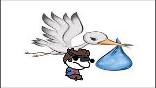 ¿Como nacen los bebés? 🤨