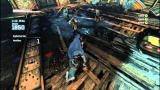 Nvidia GeForce GTX 560 Ti Batman Arkham City Funhouse Brawl Gameplay