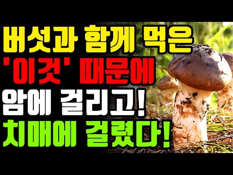 버섯과 절대로 함께 먹지마세요!🍄‍🟫 암과 치매에 걸릴 수 있습니다! -버섯과 최악의 궁합인 3가지와 만성 염증과 독소 싹 빼는 최고의 레시피 [팽이 표고 느타리 송이 요리 효능]