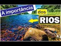 Importância e Funções dos Rios