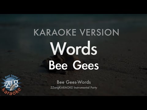 Bee Gees-Words (MR/Instrumental) (Karaoke Version)