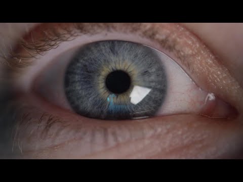 Alessandro Savino projetc