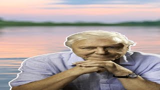 David Attenborough Fishing Documentary #Shorts