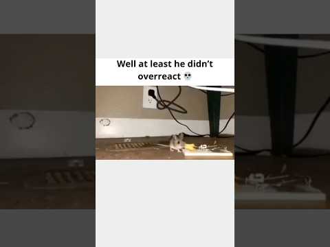 DONT check the sound...                                    #viralvideo #youtubeshorts #foryou #funny