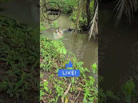 Pilih salah satu jenis air yang paling enak buat mancing!