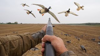 20 Gauge Freelance Duck Hunting! (CATCH CLEAN COOK)