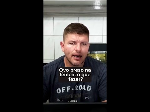 Ovo preso na fêmea  o que fazer para salvar seu pássaro !!