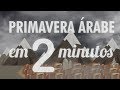 Primavera Árabe: Causas e Consequências