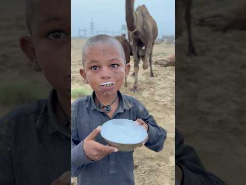 desert life in india #villagelife #desert #rajasthan #thar