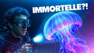 Pourquoi la méduse est l'animal le plus FASCINANT ??